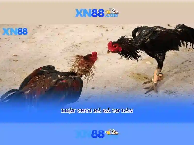 💎was sind slots bei servern💎 💎was sind slots bei servern💎