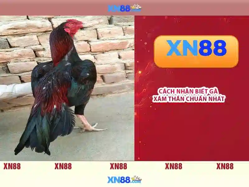 💎redrake slots💎 💎redrake slots💎