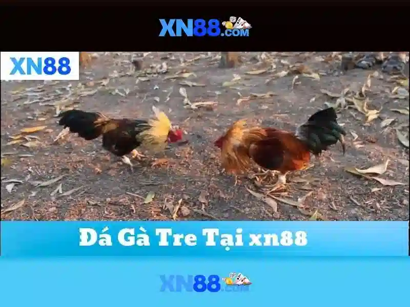 💎keo nha cai uero💎 💎keo nha cai uero💎