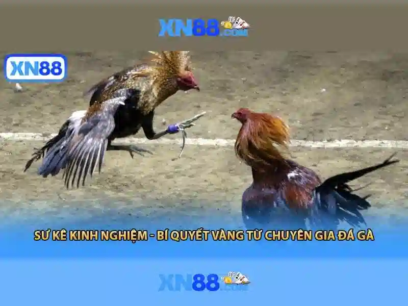 💎casino slots with best odds💎 💎casino slots with best odds💎