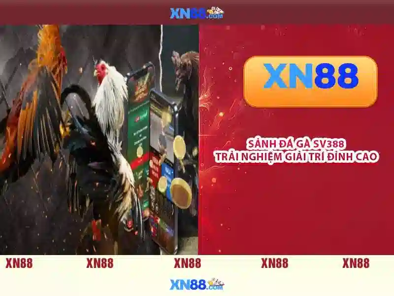 💎tỷ le ca cuoc💎 💎tỷ le ca cuoc💎