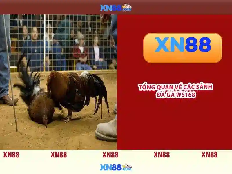 💎free spins casino slots no deposit💎 💎free spins casino slots no deposit💎