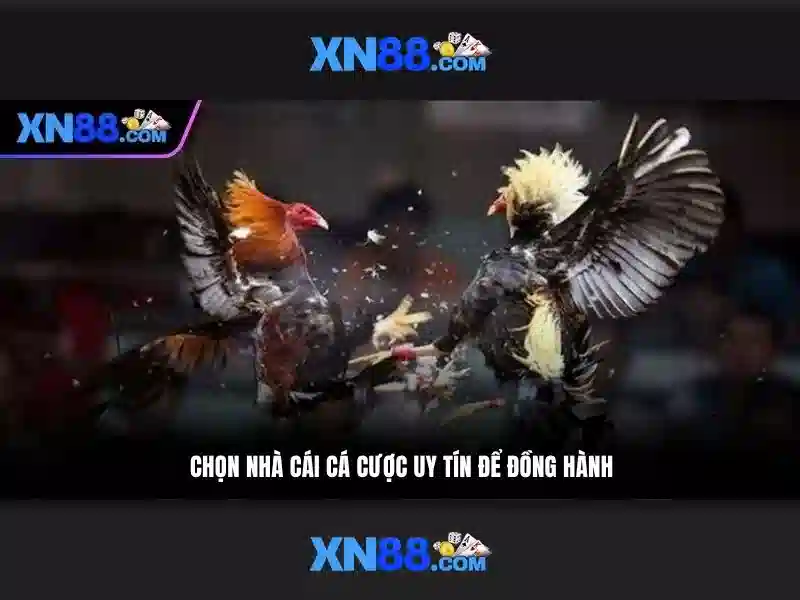 💎ti le keo nha cai 5.com💎 💎ti le keo nha cai 5.com💎