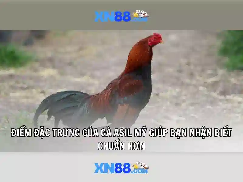 💎download free slots game💎 💎download free slots game💎