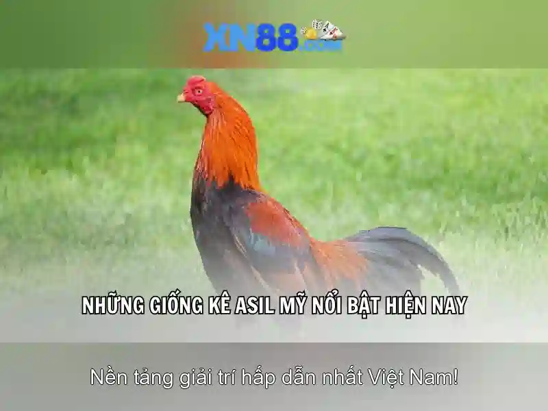 💎18toto slot💎 💎18toto slot💎