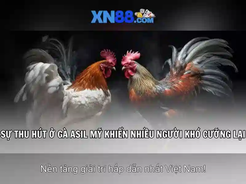 💎real money slots with free play💎 💎real money slots with free play💎