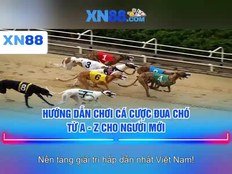 💎xn88 78💎 💎xn88 78💎