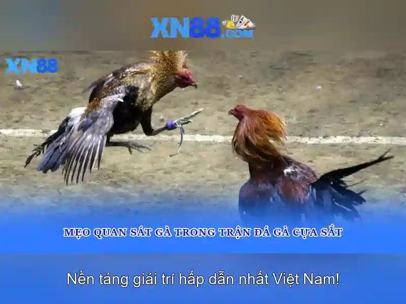 💎sv88 - nhà cái cá cược hàng đầu châu âu💎 💎sv88 - nhà cái cá cược hàng đầu châu âu💎