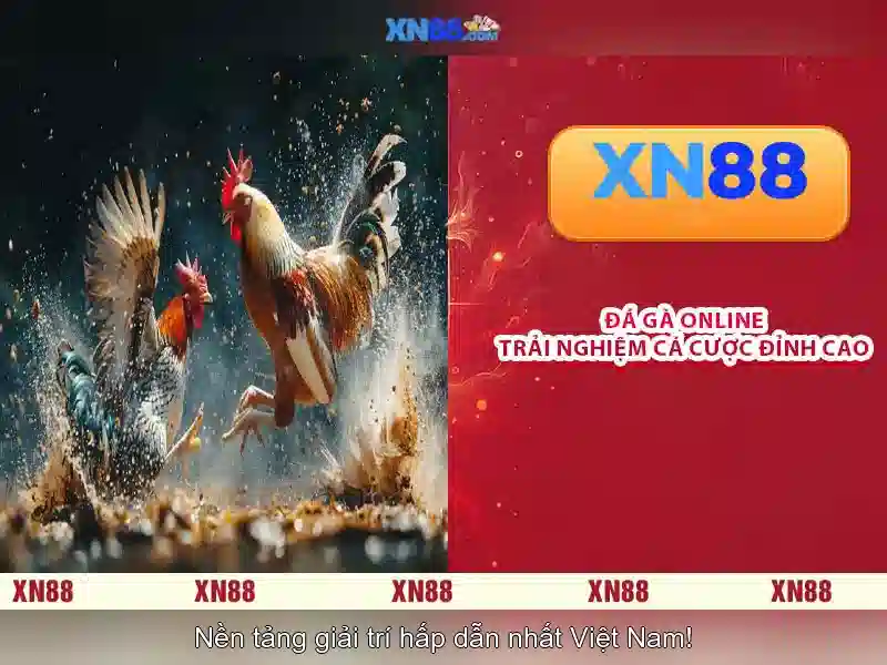 💎top 10 nhà cái uy tín taxi số 1 việt nam💎 💎top 10 nhà cái uy tín taxi số 1 việt nam💎