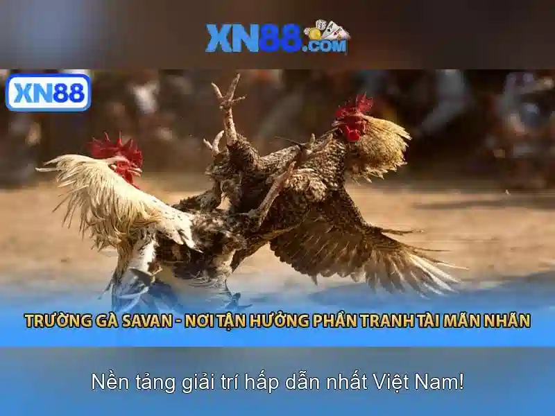 💎nha cai uy tin systems💎 💎nha cai uy tin systems💎