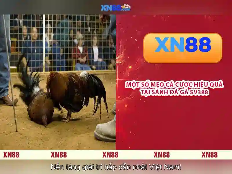 💎encore boston slots💎 💎encore boston slots💎