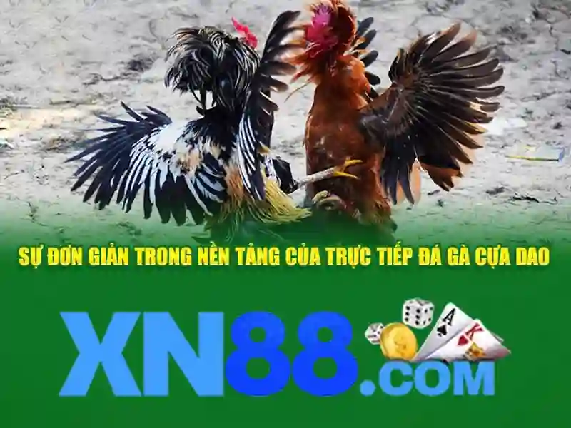 💎kèo nhà cái ibet888💎 💎kèo nhà cái ibet888💎