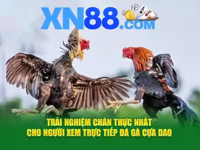 tải xn88 - xn88 tải xn88 - xn88